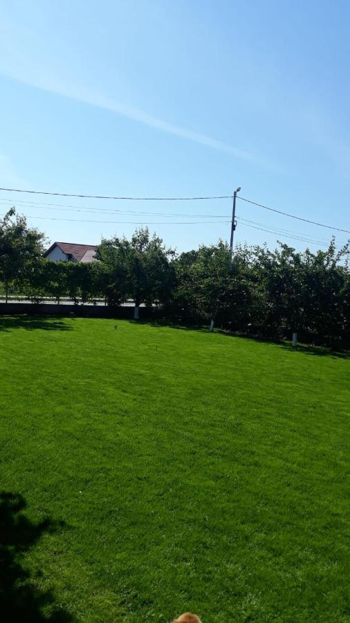 Vila Alexa Costinesti Bagian luar foto