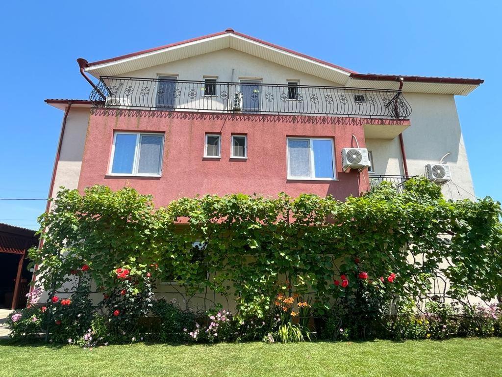 Vila Alexa Costinesti Bagian luar foto