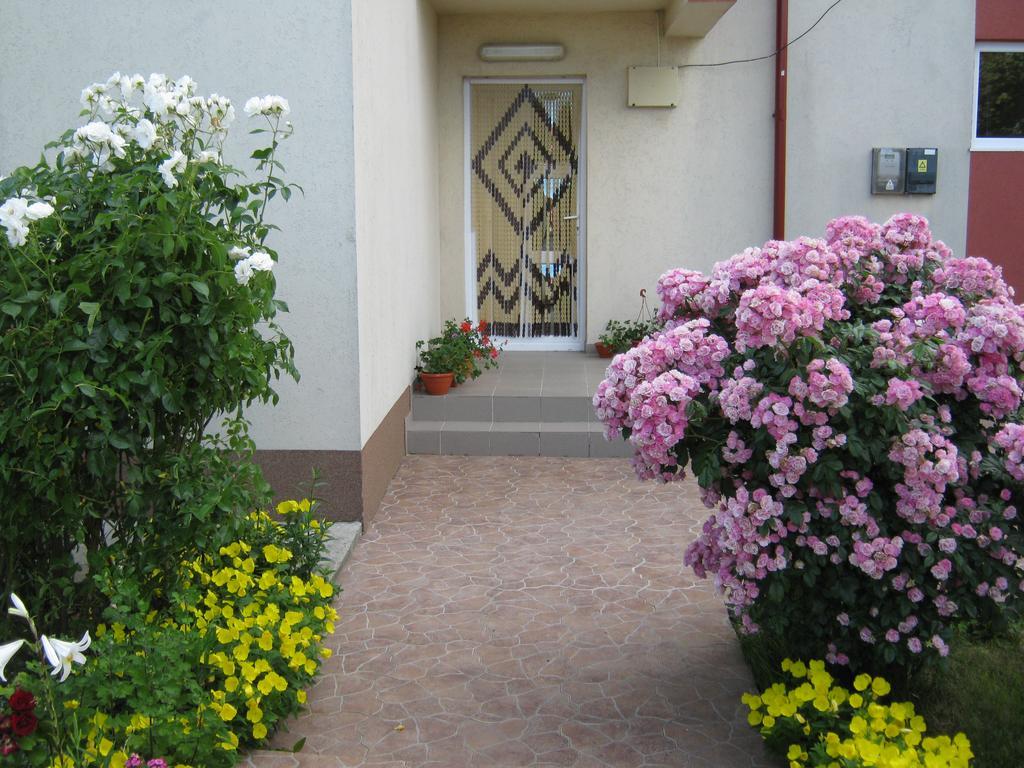 Vila Alexa Costinesti Bagian luar foto